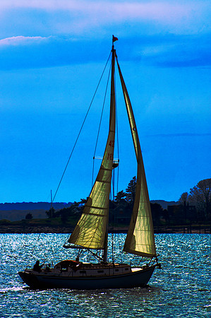 Solar Sail