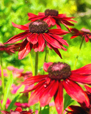 Among The Flowers