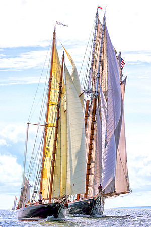 Stately Mariners