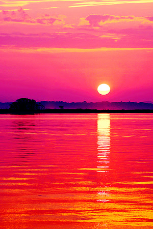New Day