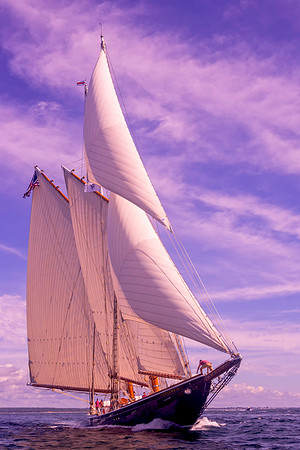 Wind Driven