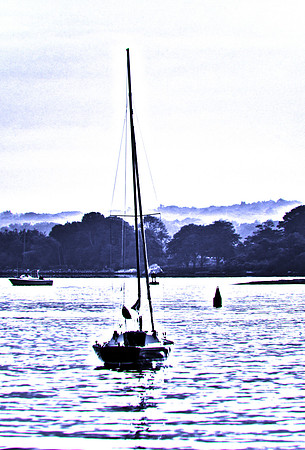 Marine Dream