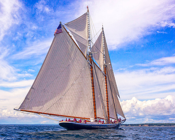 Sailing Beauty