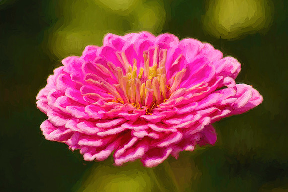 Blooming Out Pink 2