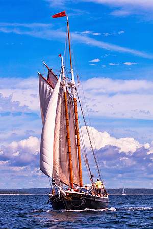 Sailor's Serenity