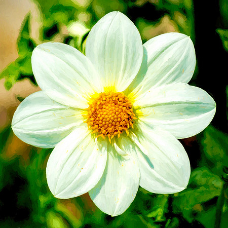 Perfect Petals 2