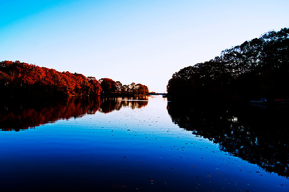 Contrasting Shores
