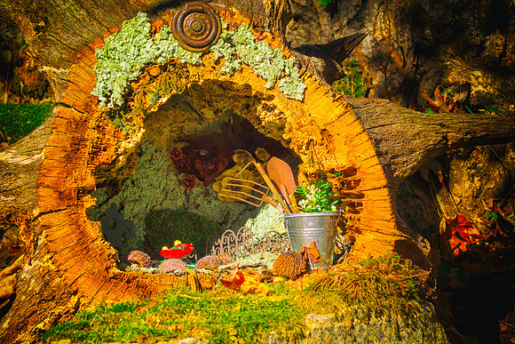 Woodland Garden