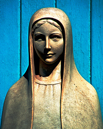 Faithful Reproduction