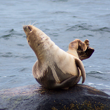 Maritime Yoga