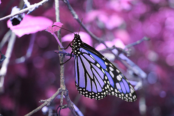 At Rest