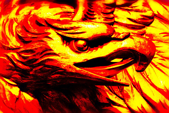 Fire Eagle