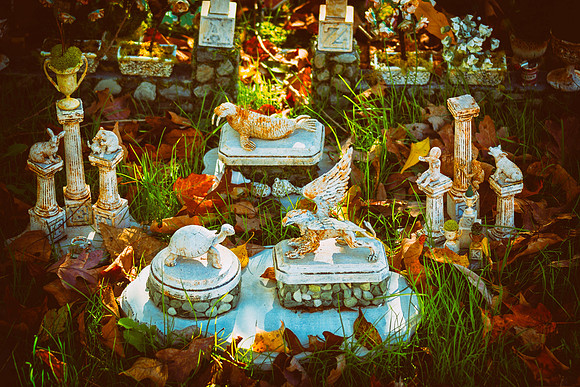 Autumn Bizarre