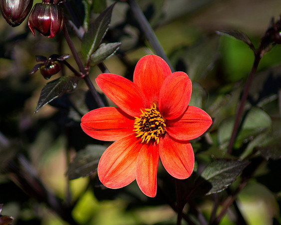 Standing Out (2)