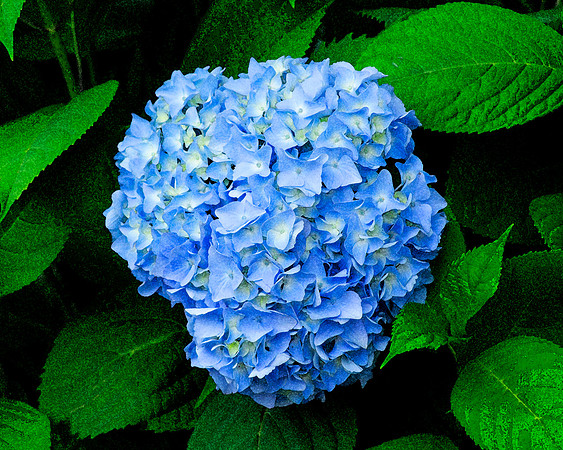 Blue's Hues