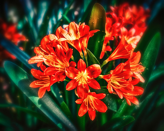 Bunched Together
