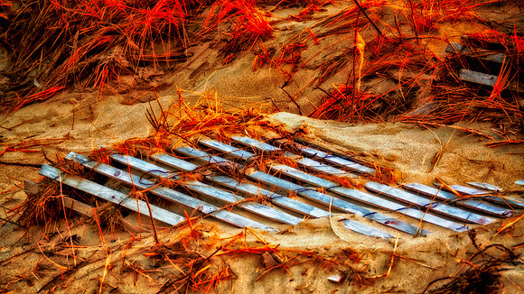 Taking Back The Beach