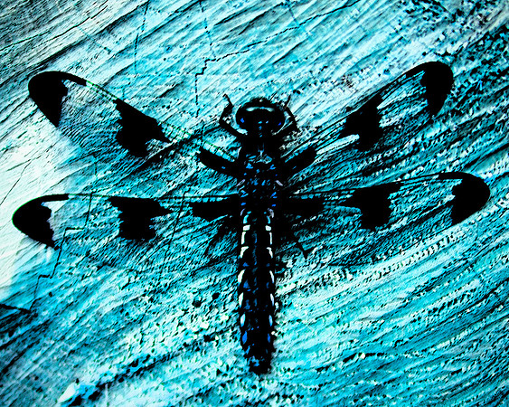 Blue Dragon