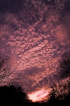 Steeled Sky